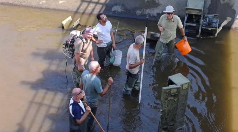 La Città metropolitana tutela i pesci e rimuove i rifiuti nel canale Moncalieri-La Loggia
