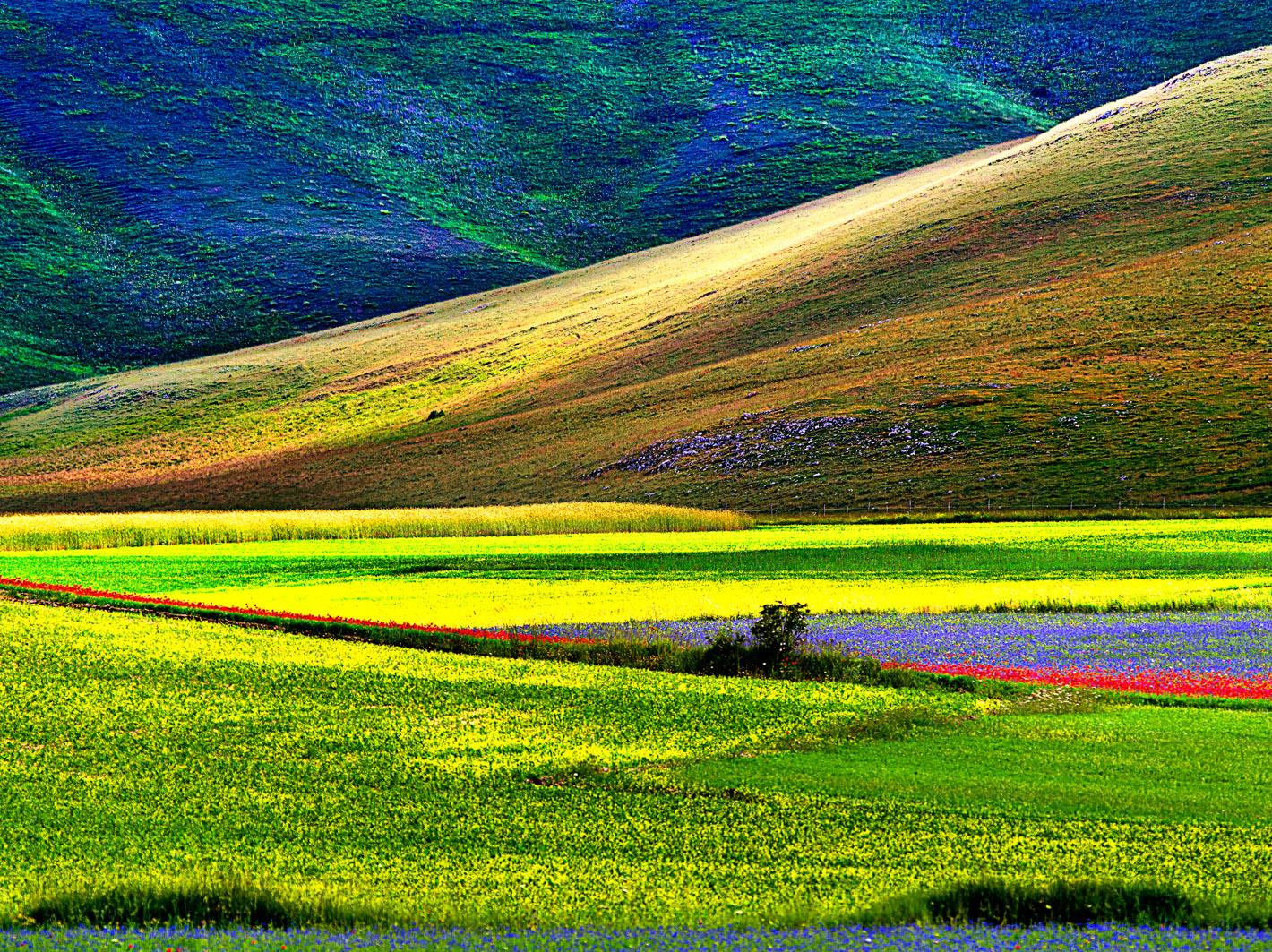 RETROSPETTIVA - ESPOSIZIONE FOTOGRAFICA DI PIER ILARIO BENEDETTO