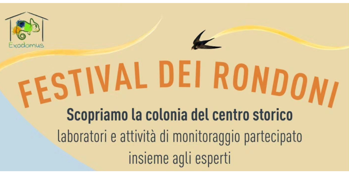 FESTIVAL DEI RONDONI